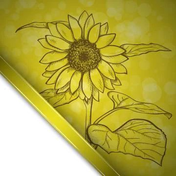 Sketch  sunflower background Stock Illustration