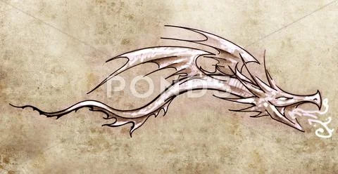 Sketch of tattoo art, stylish decorative dragon Stock Illustration