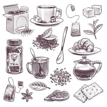 Sketch tea. Hand drawn tea leaves, mugs and kettle. Dried herbs, jam and lemon Stock Illustration