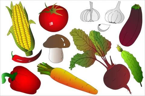 A sketch on the theme of vegetables. Background from vegetables. For design.  Stock Illustration