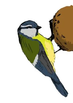 Sketch tit bird. Vector illustration Stock Illustration