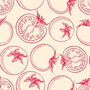 Sketch tomatoes Stock Illustration