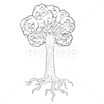 Tree With Roots Coloring Page Flora And Fauna Coloring Sheets