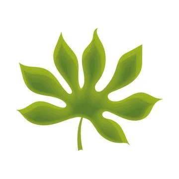 Sketch of a tree leaf icon Vector Illustrazione stock