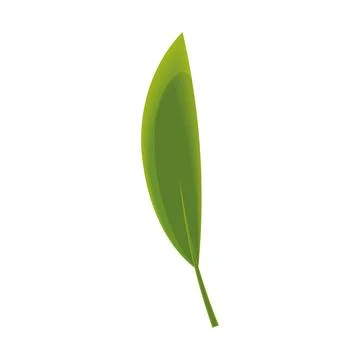 Sketch of a tree leaf icon Vector Illustrazione stock