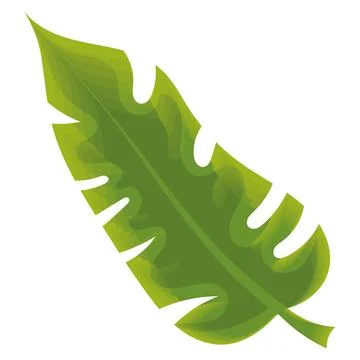 Sketch of a tree leaf icon Vector Stock Illustration