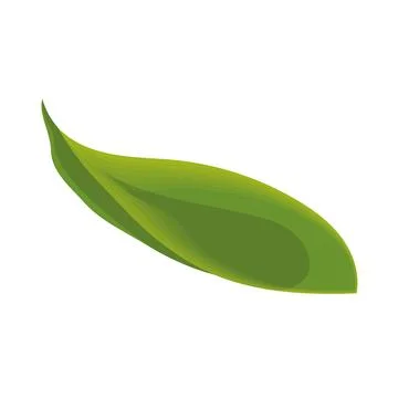 Sketch of a tree leaf icon Vector Stock Illustration