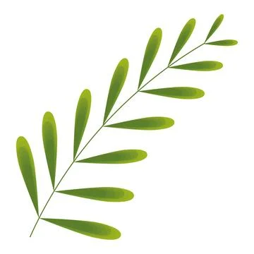 Sketch of a tree leaf icon Vector Illustrazione stock
