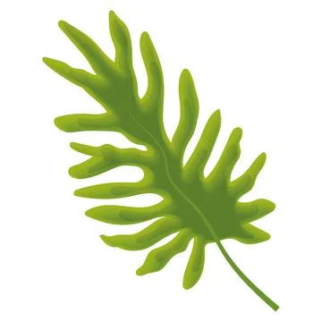 Sketch of a tree leaf icon Vector Stock Illustration