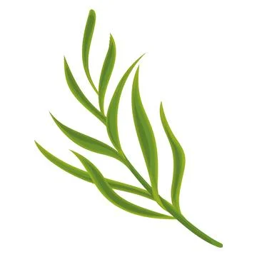 Sketch of a tree leaf icon Vector Illustrazione stock