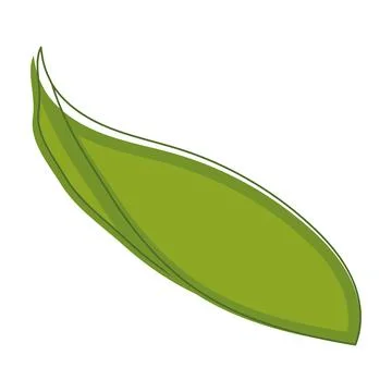 Sketch of a tree leaf icon Vector Stock Illustration