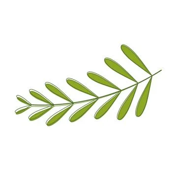 Sketch of a tree leaf icon Vector Stock Illustration