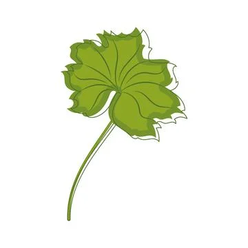 Sketch of a tree leaf icon Vector Stock Illustration