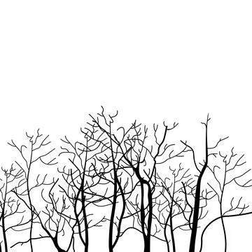 Sketch tree Stock Photos