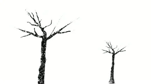 Sketch of trees, drawn with a pencil Stock Footage 20543483