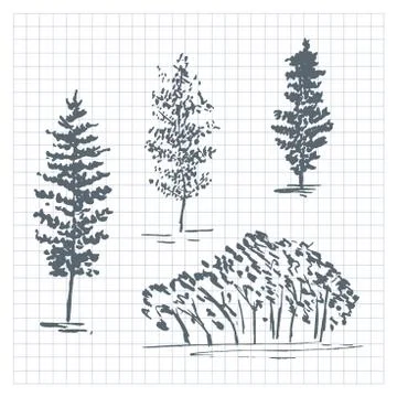 Sketch trees. Set of hand drawn silhouettes trees. Vector illustration isolated Stock Illustration