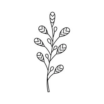 Sketch twigs. Hand drawn vector floral elements 库存插图