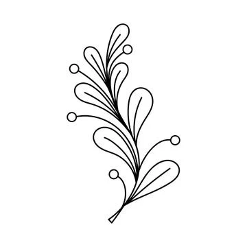 Sketch twigs. Hand drawn vector floral elements 库存插图