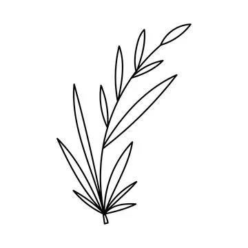 Sketch twigs. Hand drawn vector floral elements 库存插图
