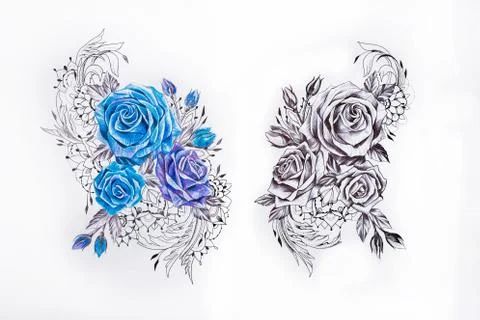 Sketch two sets of roses on a white background. Illustrazione stock