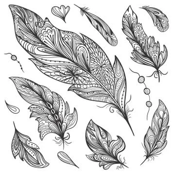 Sketch Vector Feather Set Stock Illustration