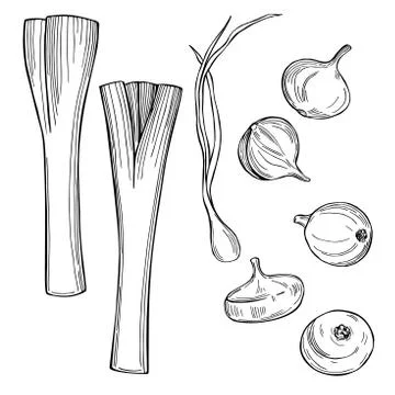 Sketch vegetables. Vector  illustration Stock Illustration