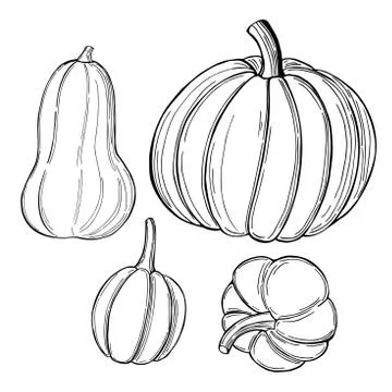 Sketch vegetables. Vector  illustration Stock Illustration