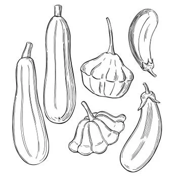 Sketch vegetables. Vector  illustration Illustrazione stock