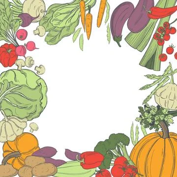 Sketch vegetables. Vector  illustration Stock Illustration