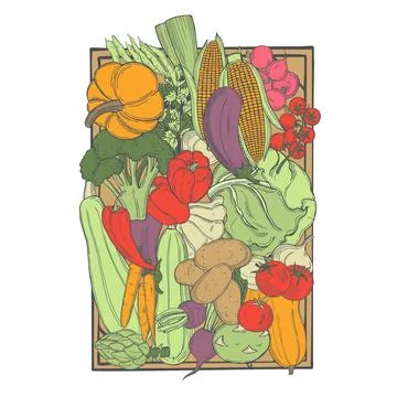 Sketch vegetables. Vector  illustration Stock Illustration