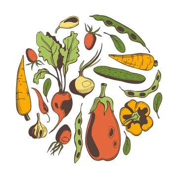 Sketch vegetables. Vector  illustration Stock Illustration