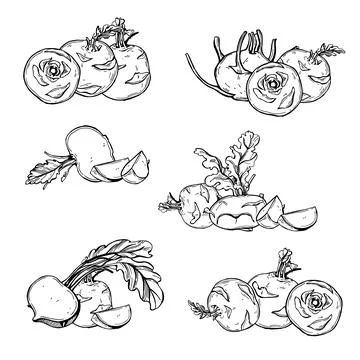Sketch vegetables. Vector  illustration Stock Illustration