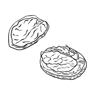 Sketch of walnuts in sketch style. Vector illustration Stock Illustration