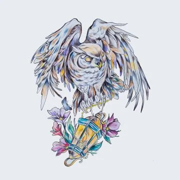 Sketch of a wise owl with a lantern on a white background. Stock Illustration