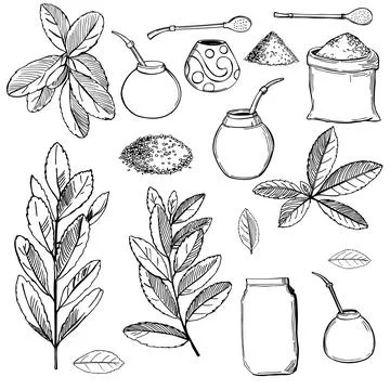Sketch yerba mate set. Stock Illustration