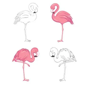 Sketched flamingos vector Stock Illustration