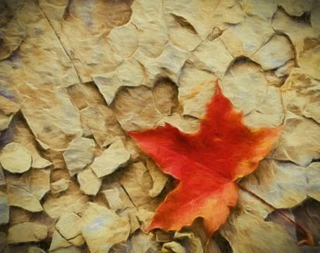 Sketched maple leaf on cracked stone 스톡 일러스트