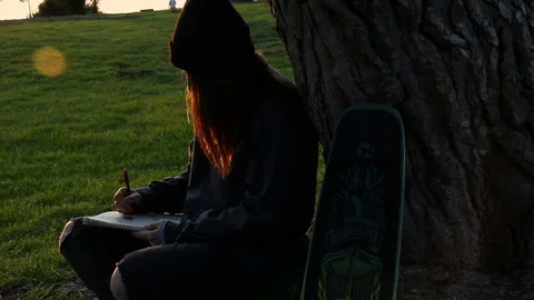 Sketching in the park at sun set Stock Footage 102026163