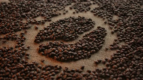 Sketchy drawing of roasted coffee bean. Symbol coffee bean grain concept. Smooth Stock Footage 135380582
