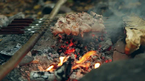 Skewer Stock Footage 24611990