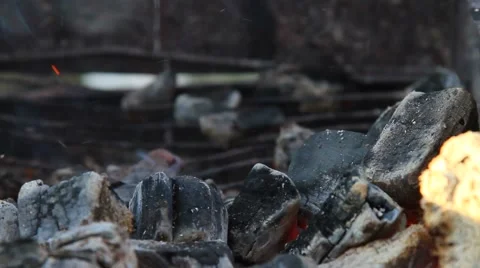 Skewer with meat placed on the coals Video stock 60063447