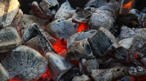 Skewer with meat placed on the coals Stock Footage 60063523