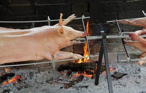 Skewer of a two large squared roasted pork with fire Stockfoto's