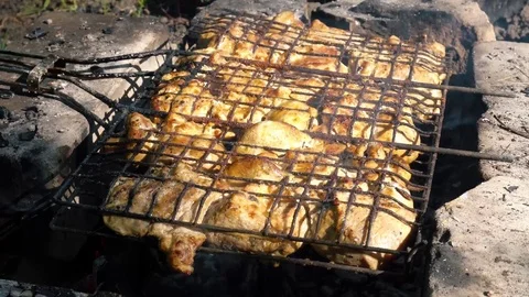 The skewers in the grill Vidéo 75532987
