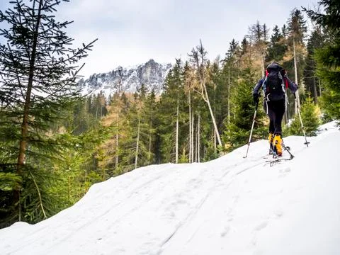 Ski alper Stock Photos
