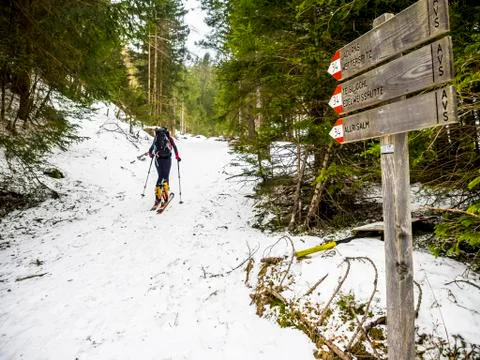 Ski alper Stock Photos