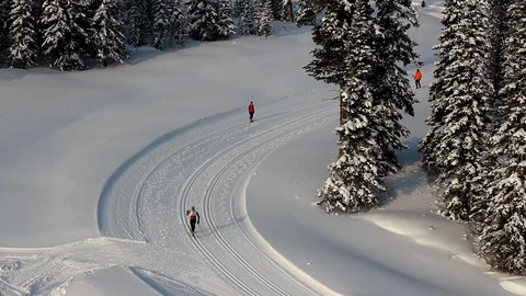 Ski athletes running for while, mountain track, coniferous trees, lot of snow Video stock 128982620