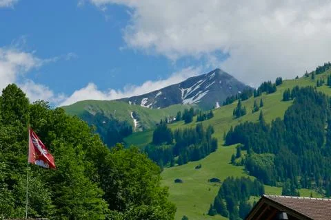 Ski fields in summer at Gstaad Stock Photos
