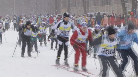 Ski Stock Footage 1191236