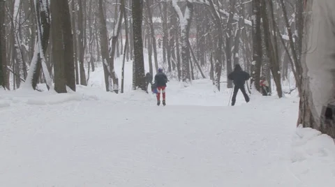 Ski Stock Footage 1200680